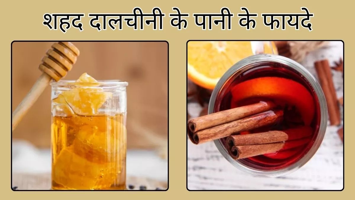 रोजाना शहद और दालचीनी का पानी पिएं और सर्दी-जुकाम समेत कई बीमारियों से पाएं राहत