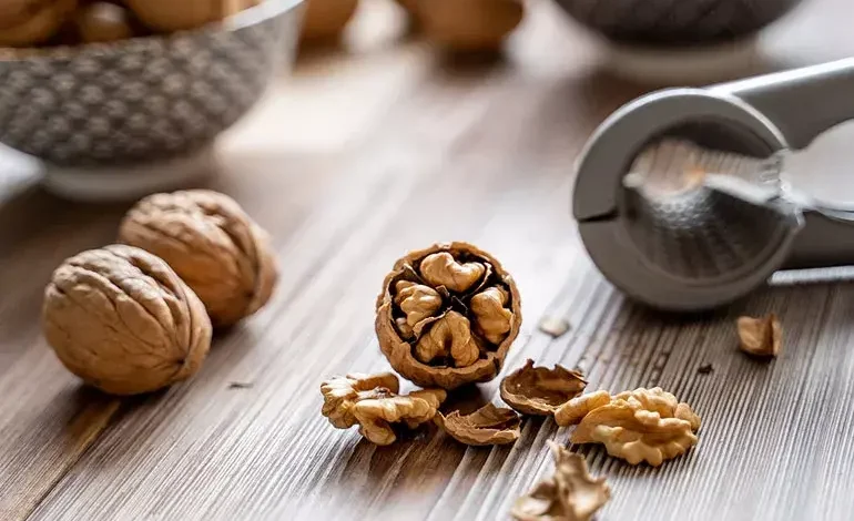 अखरोट के फायदे: सेहत के लिए वरदान अखरोट, कौन से अंगों के लिए है खास और कैसे करें सेवन 1 अखरोट के फायदे: सेहत के लिए वरदान अखरोट, कौन से अंगों के लिए है खास और कैसे करें सेवन