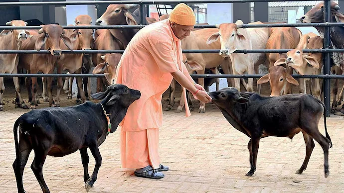उत्तर प्रदेश में गो आधारित जैविक खेती को मिलेगा बढ़ावा, गांव-गांव चलाया जाएगा जागरूकता अभियान 1 उत्तर प्रदेश में गो आधारित जैविक खेती को मिलेगा बढ़ावा, गांव-गांव चलाया जाएगा जागरूकता अभियान