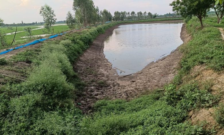 नदी संरक्षण मुहिम: उत्तर प्रदेश में मुख्यमंत्री योगी आदित्यनाथ की मुहिम से लुप्त होती नदियों का पुनरोद्धार, सुआंव और टेढ़ी नदी में वापस लौट रहा जीवन 1 नदी संरक्षण मुहिम: उत्तर प्रदेश में मुख्यमंत्री योगी आदित्यनाथ की मुहिम से लुप्त होती नदियों का पुनरोद्धार, सुआंव और टेढ़ी नदी में वापस लौट रहा जीवन