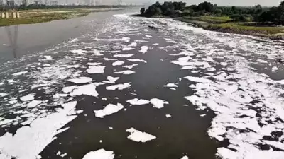 यमुना नदी में प्रदूषण का नया रिकॉर्ड: फीकल बैक्टीरिया 4000 गुना अधिक, दिल्ली में जल संकट गहराया 1 यमुना नदी में प्रदूषण का नया रिकॉर्ड: फीकल बैक्टीरिया 4000 गुना अधिक, दिल्ली में जल संकट गहराया