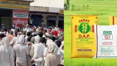 हरियाणा यूरिया वेरिफिकेशन: हरियाणा में यूरिया-डीएपी खाद की ज्यादा खरीद पर जांच शुरू, कालाबाज़ारी पर लगाम के लिए वेरिफिकेशन तेज