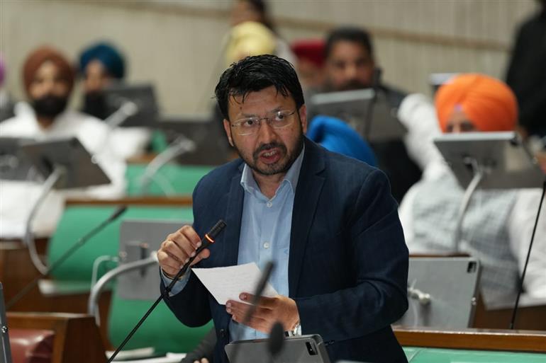 पंजाब सरकार ने शुरू की 8 नई ऑनलाइन सेवाएं, अब घर बैठे मिलेगी बड़ी राहत