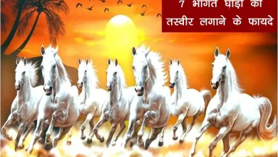 घर में क्यों लगानी चाहिए 7 भागते हुए घोड़ों की तस्वीर? जानिए फायदे, दिशा और वास्तु टिप्स
