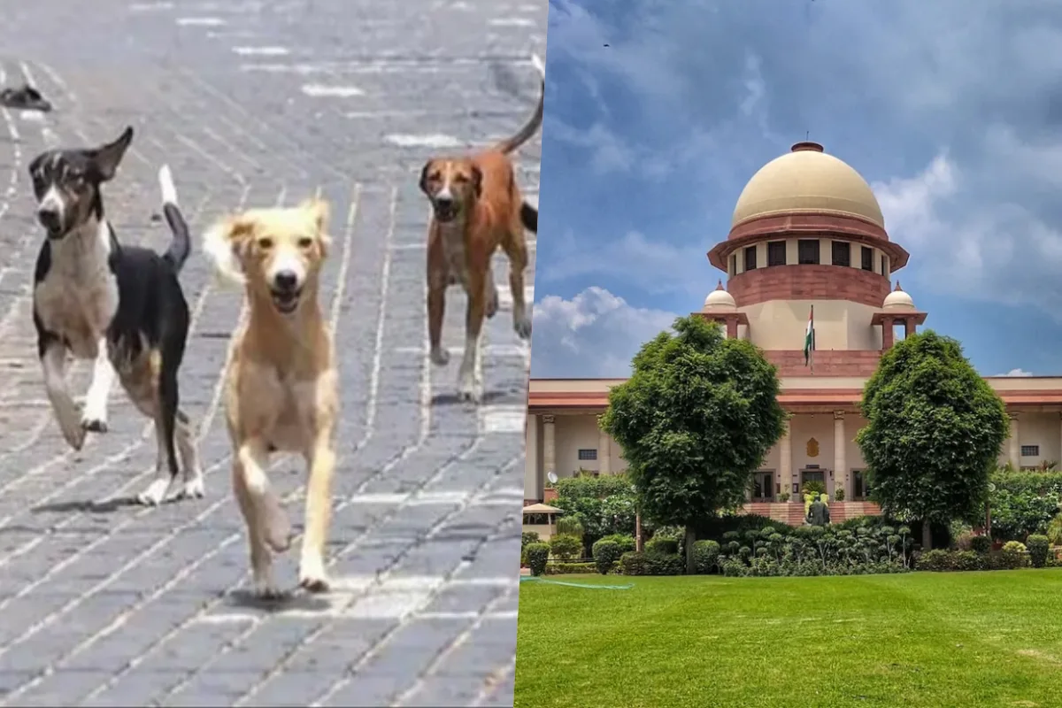 दिल्ली सरकार ने सुप्रीम कोर्ट के आवारा कुत्तों के फैसले का स्वागत किया, कहा करुणा और सुरक्षा दोनों का संतुलन आवश्यक