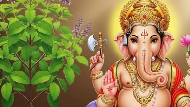 गणेश चतुर्थी 2025: क्यों नहीं चढ़ाई जाती तुलसी भगवान गणेश को? पढ़ें खास कथा