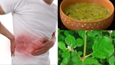 लिवर और किडनी की दवाइयों में होता है इस जंगली पौधे का इस्तेमाल, जानिए जबरदस्त फायदे और सेवन का तरीका