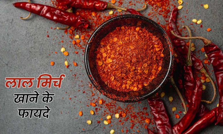 लाल मिर्च के स्वास्थ्य लाभ: तीखे स्वाद के पीछे छुपे हैं अनगिनत फायदे