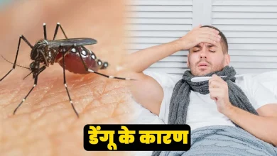 डेंगू का खतरा बढ़ा, जानें डेंगू होने पर क्या करें और किन गलतियों से बचें