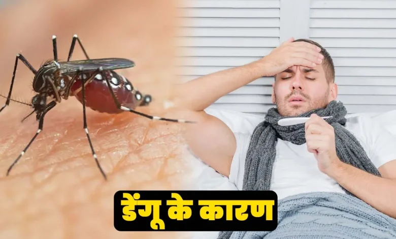 डेंगू का खतरा बढ़ा, जानें डेंगू होने पर क्या करें और किन गलतियों से बचें
