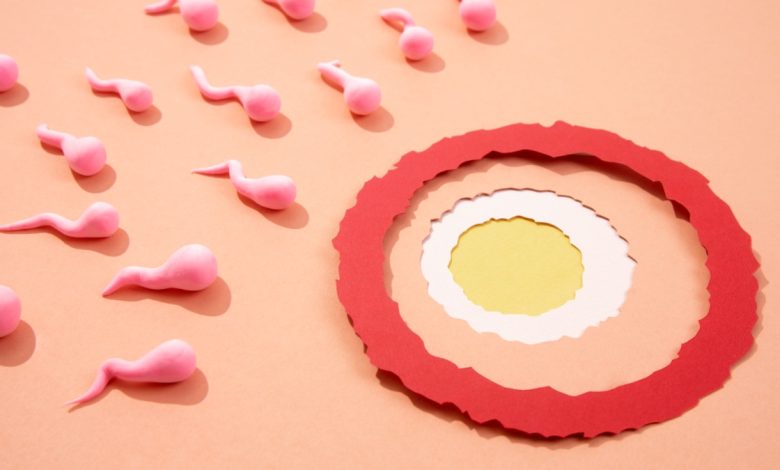 जानिए क्यों हर महिला को फर्टिलिटी साइकिल की जानकारी होना है बेहद ज़रूरी