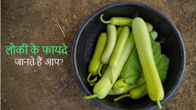 लौकी खाने से कौन सी बीमारी होती है दूर? लौकी के फायदे और पोषक तत्व