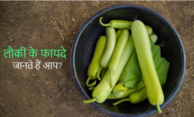 लौकी खाने से कौन सी बीमारी होती है दूर? लौकी के फायदे और पोषक तत्व