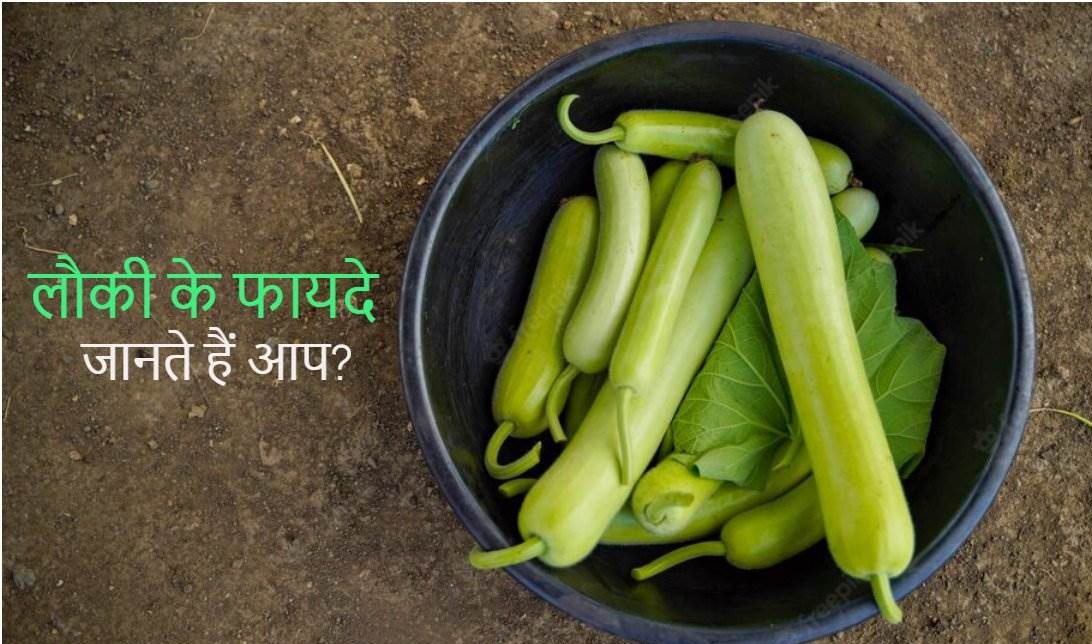 लौकी खाने से कौन सी बीमारी होती है दूर? लौकी के फायदे और पोषक तत्व