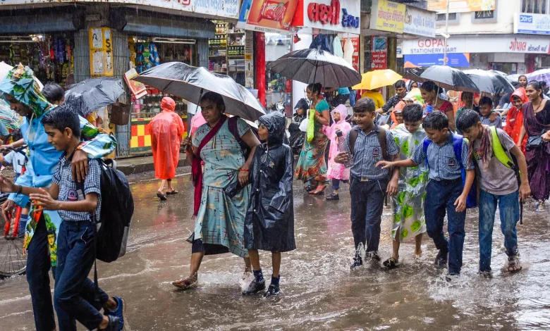 पंजाब में भारी बारिश का कहर: स्कूल 3 दिन बंद, 8 जिलों में बाढ़ का अलर्ट, सतलुज-ब्यास उफान पर