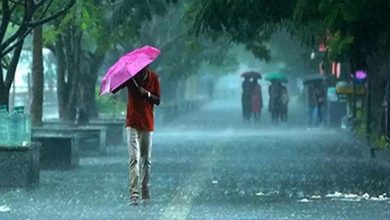 पंजाब में 13 से 15 अगस्त तक भारी बारिश की संभावना, मौसम विभाग ने जारी की चेतावनी