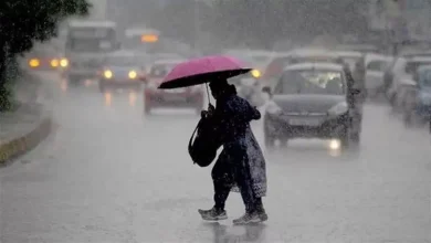 Rajasthan Weather News: भारी बारिश का कहर जारी, 19 जिलों में स्कूल बंद, 16 जिलों में अलर्ट