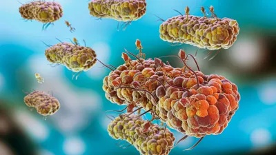 अमेरिका में स्क्रूवर्म वायरस का मामला आया सामने, जानिए यह बीमारी क्यों है इंसानों और जानवरों के लिए खतरनाक