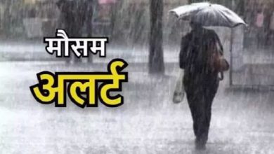 हरियाणा के इन जिलों में आज जमकर बरसेंगे बादल, मौसम विभाग ने जारी किया अलर्ट
