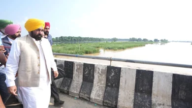 पंजाब बाढ़ मुआवजा: मुख्यमंत्री भगवंत सिंह मान ने बाढ़ पीड़ितों को मुआवजा देने के लिए विशेष गिरदावरी के आदेश दिए, कपूरथला का किया दौरा