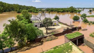 पंजाब सरकार ने बाढ़ प्रभावित क्षेत्रों में राहत कार्य तेज किए, मंत्रियों को दिए निर्देश