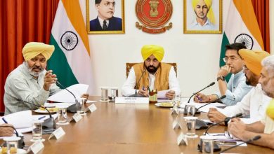 पंजाब सरकार का बड़ा फैसला: 10 लाख फर्जी राशन कार्ड रद्द, अमीर परिवारों पर कसी नकेल