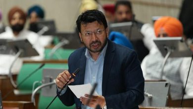 पंजाब सरकार ने शुरू की 8 नई ऑनलाइन सेवाएं, अब घर बैठे मिलेगी बड़ी राहत