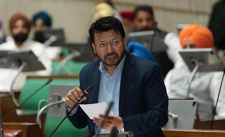 पंजाब सरकार ने शुरू की 8 नई ऑनलाइन सेवाएं, अब घर बैठे मिलेगी बड़ी राहत