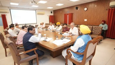 मुख्यमंत्री भगवंत सिंह मान ने अधिकारियों से कहा; बाढ़ प्रभावित क्षेत्रों में मानव और मवेशियों का अच्छा स्वास्थ्य सुनिश्चित करें