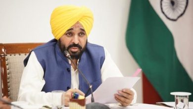 पंजाब सरकार पांच लाख एकड़ में फसल बर्बाद होने वाले किसानों को मुफ्त गेहूं के बीज देगी