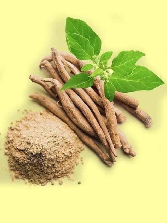अश्वगंधा लेने का सबसे सही समय कौन सा है?