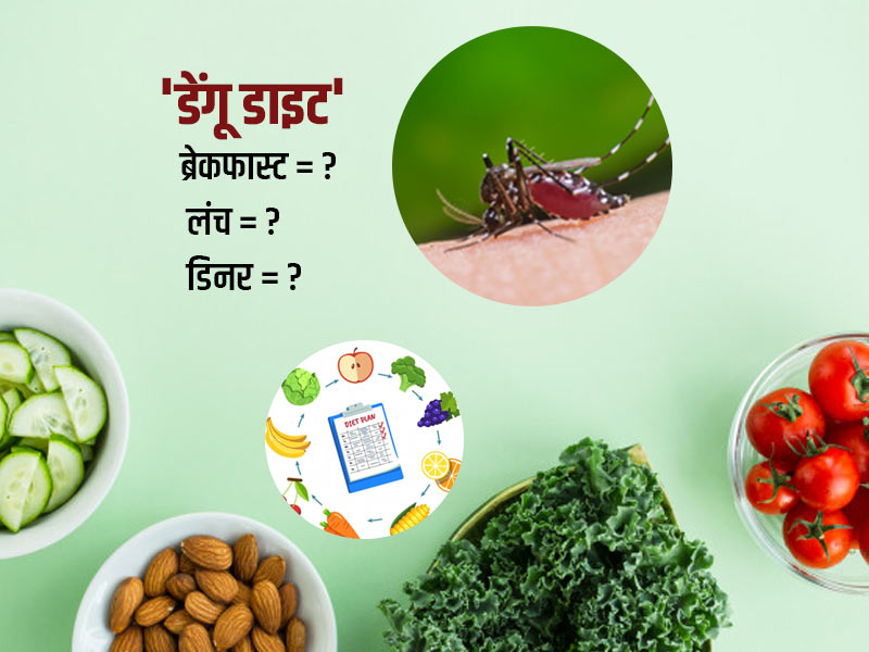 डेंगू में क्या खाएं: डेंगू होने पर कैसी होनी चाहिए आपकी डाइट? जानिए क्या खाएं और क्या न खाएं 12 डेंगू में क्या खाएं: डेंगू होने पर कैसी होनी चाहिए आपकी डाइट? जानिए क्या खाएं और क्या न खाएं