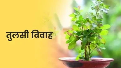 Tulsi Vivah 2025: कब है तुलसी विवाह? जानिए तिथि, मुहूर्त, महत्व और पूजन विधि