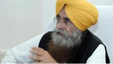 पंजाब सरकार ने बाढ़ के बाद पशुधन सुरक्षा के लिए व्यापक और समयबद्ध कार्य योजना लागू की