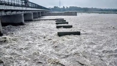 Haryana Flood Alert: हथिनीकुंड बैराज से यमुना में बाढ़ घोषित, 3.29 लाख क्यूसेक पानी छोड़ा गया, दिल्ली तक अलर्ट जारी