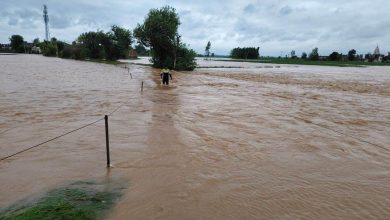 हरियाणा के हिसार जिले में भारी बारिश ने मचाई तबाही, 71 स्कूल बंद, 200 गांवों की फसलें नष्ट