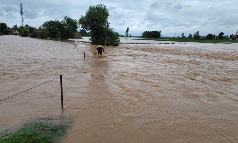 हरियाणा के हिसार जिले में भारी बारिश ने मचाई तबाही, 71 स्कूल बंद, 200 गांवों की फसलें नष्ट