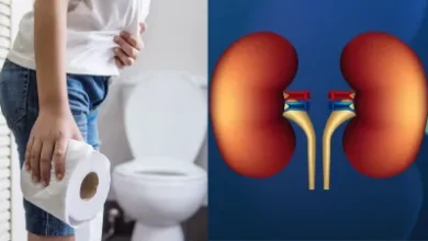 पेशाब में दिखने वाले ये लक्षण कर सकते हैं किडनी फेल का इशारा, जानें डॉक्टर की चेतावनी 9 पेशाब में दिखने वाले ये लक्षण कर सकते हैं किडनी फेल का इशारा, जानें डॉक्टर की चेतावनी