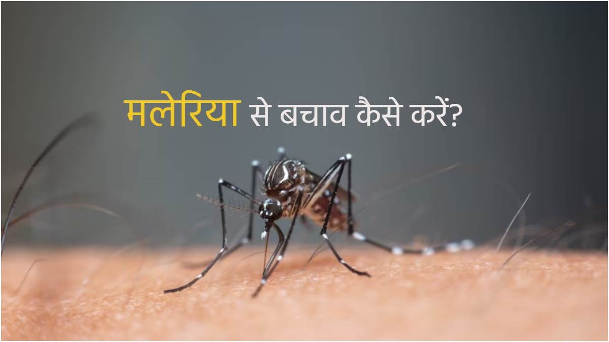 Malaria Diseases: मलेरिया के शुरुआती लक्षण और बचाव के आसान उपाय