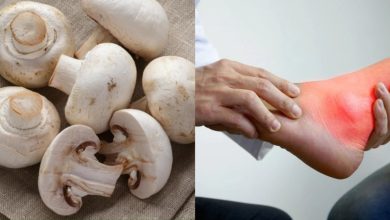 हाई यूरिक एसिड में मशरूम खाना चाहिए या नहीं? जानें इसके फायदे और नुकसान