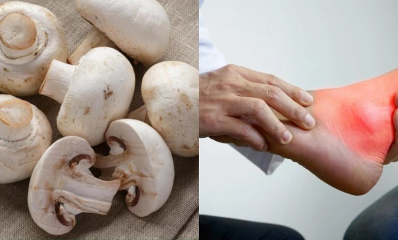 हाई यूरिक एसिड में मशरूम खाना चाहिए या नहीं? जानें इसके फायदे और नुकसान