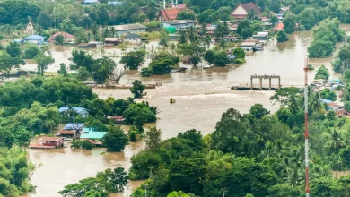 पंजाब में बाढ़ का कहर जारी: अब तक 23,206 लोग सुरक्षित निकाले गए, 1.92 लाख हेक्टेयर फसल बर्बाद