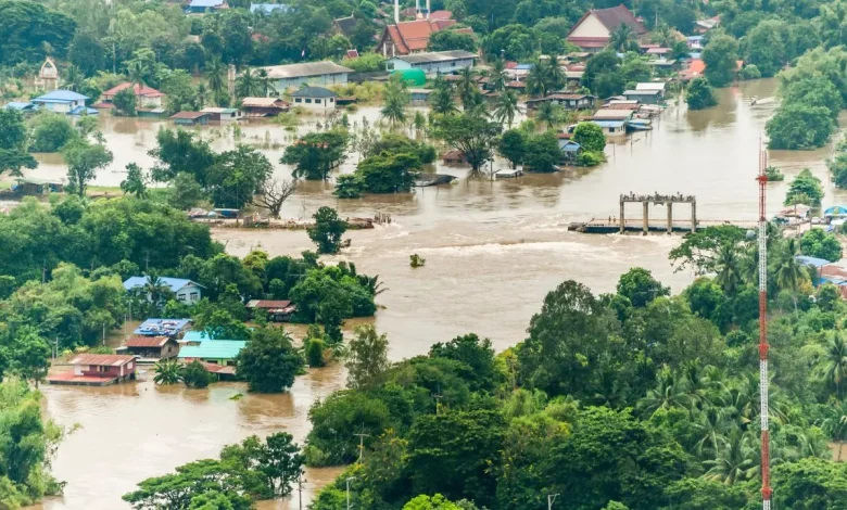 पंजाब में बाढ़ का कहर जारी: अब तक 23,206 लोग सुरक्षित निकाले गए, 1.92 लाख हेक्टेयर फसल बर्बाद
