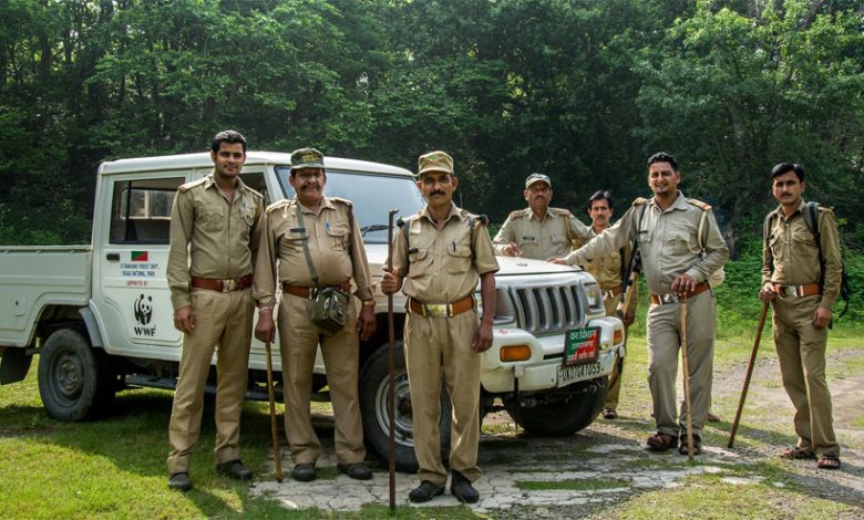 राजस्थान में वनरक्षक और वनपाल भर्ती 2025: RSMSSB जल्द जारी करेगा अधिसूचना