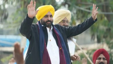 पंजाब कैबिनेट के ऐतिहासिक फैसले: किसानों को राहत, रेत नीति को मंजूरी, 20,000 रु प्रति एकड़ मुआवजा