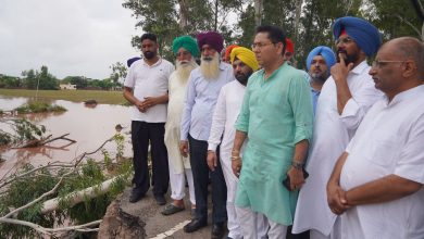 पंजाब सरकार की बाढ़ प्रभावित गांवों में राहत एवं पुनर्वास कार्यों की ज़मीनी निगरानी, मुख्यमंत्री भगवंत सिंह मान के निर्देश