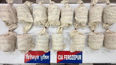 'युद्ध नाशियां विरुध': 197वें दिन पंजाब पुलिस ने 433 जगहों पर छापेमारी की; 94 ड्रग तस्कर गिरफ्तार