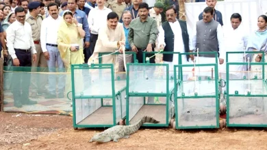 मुख्यमंत्री डॉ. मोहन यादव ने मां नर्मदा में मगरमच्छ छोड़ने के बाद मीडिया को दी जानकारी