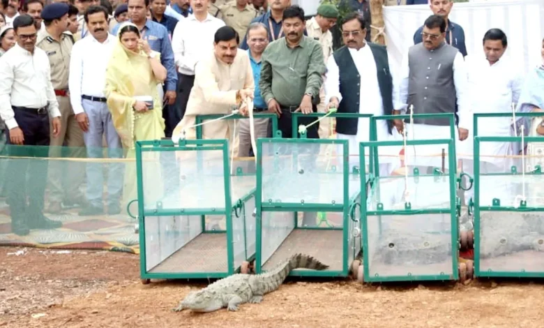 मुख्यमंत्री डॉ. मोहन यादव ने मां नर्मदा में मगरमच्छ छोड़ने के बाद मीडिया को दी जानकारी