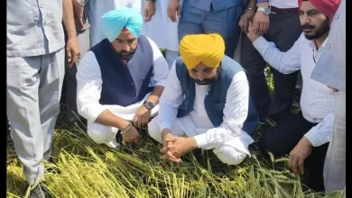 पंजाब मुख्यमंत्री के ध्यान में है हर किसान, समस्याओं का हो रहा तुरंत समाधान: “अपना CM – अपने खेता विच” - जब मुख्यमंत्री खुद खेतों में पहुंचकर सुलझाते है किसानों की समस्याएं